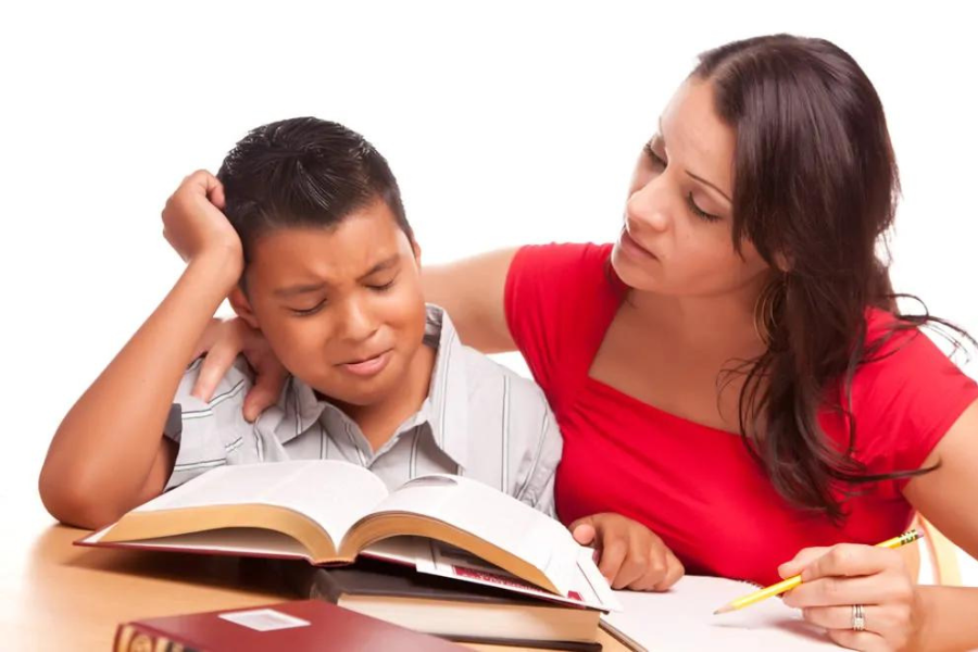Shadow Teacher Qualifications