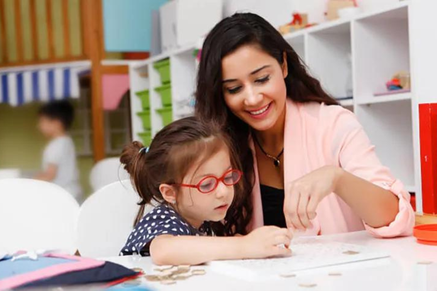 What is a Shadow Teacher?