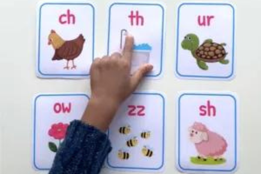 What are the components of Synthetic Phonics?