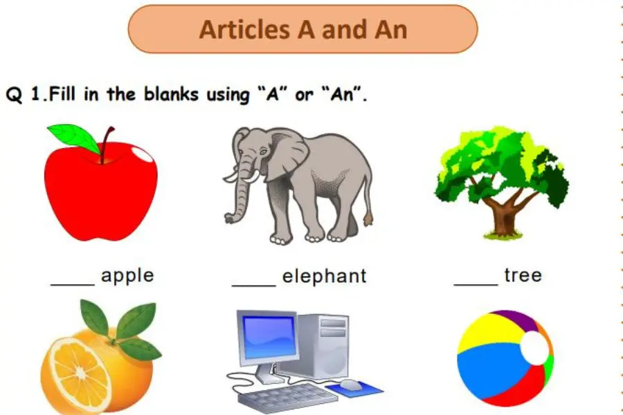 Worksheet Exercises for Practice