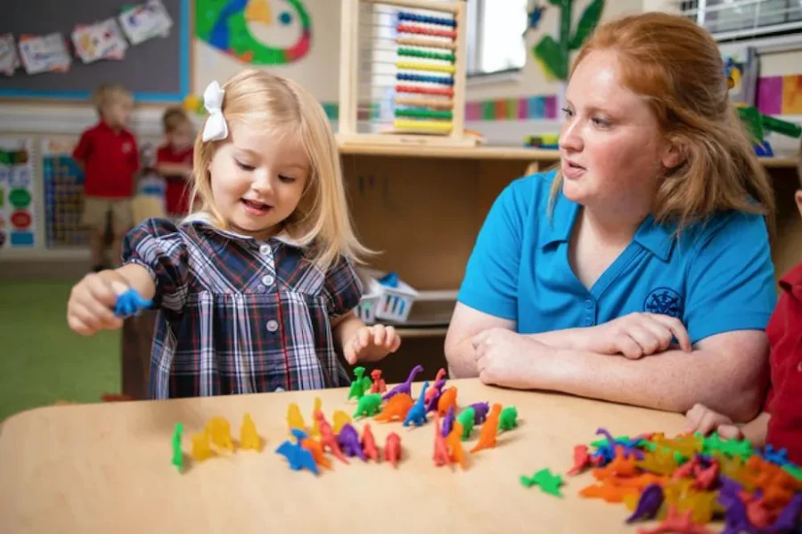 What is Early Childhood Educator Responsibilities?