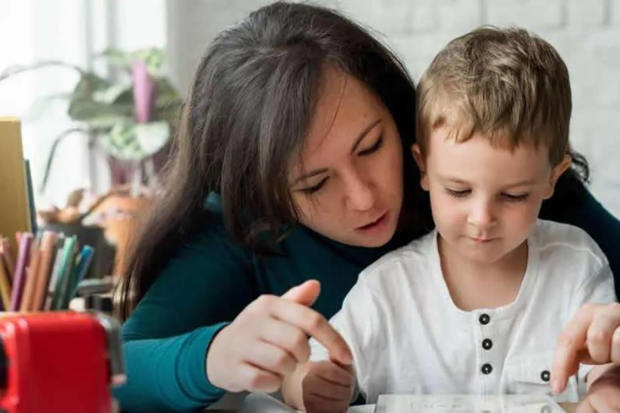 How Many Types of Teaching Courses are there?