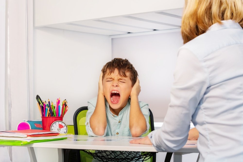 What Does Special Educator Means?